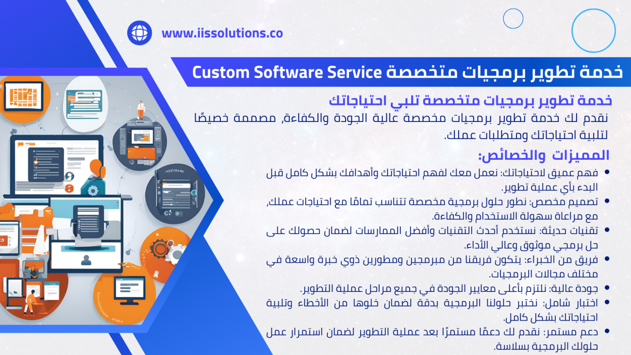 Custom Software Service